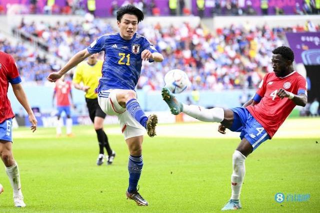 仅展现了球 仅展现了球